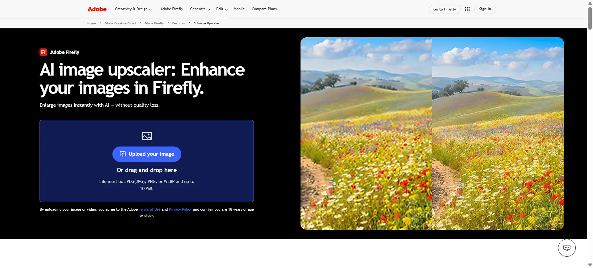 adobe