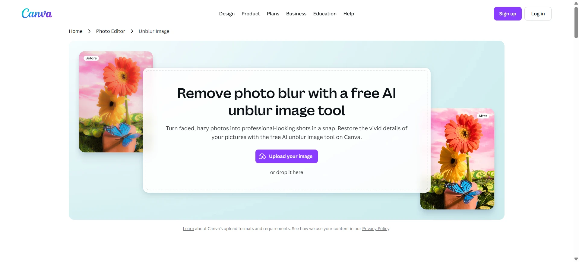canva